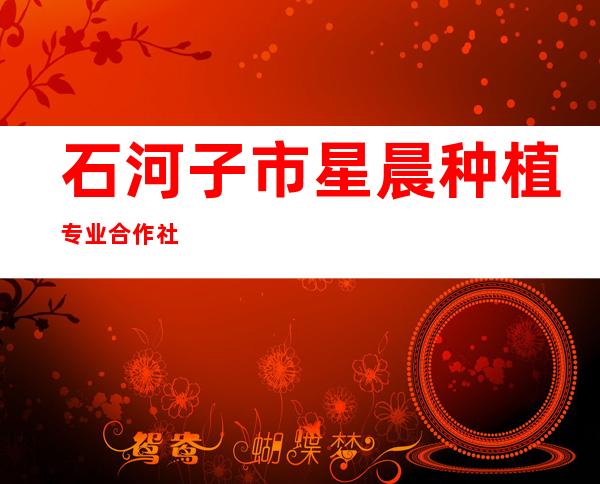 石河子市星晨种植专业合作社